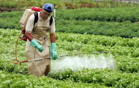 ALARMANTE AUMENTO DE COMERCIO DE AGROQUÍMICOS ILEGALES EN PERÚ QUE AMENAZAN LA SALUD Y EL AMBIENTE – RCR Peru