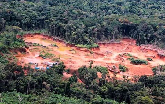 EL FENÓMENO DE LAS ECONOMÍAS ILEGALES QUE ATENTA CONTRA LA DEMOCRACIA – RCR Peru