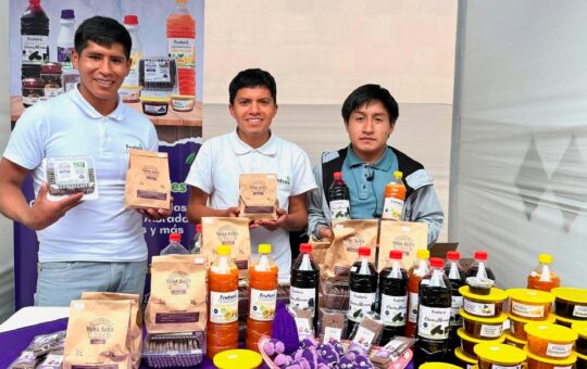 270 EMPREDIMIENTOS VIENE ACOGIENDO HASTA EL MOMENTO PROYECTO “CAJAMARCA INCUBA” GENERANDO EMPLEO Y DINAMISMO EN LA REGIÓN – RCR Peru