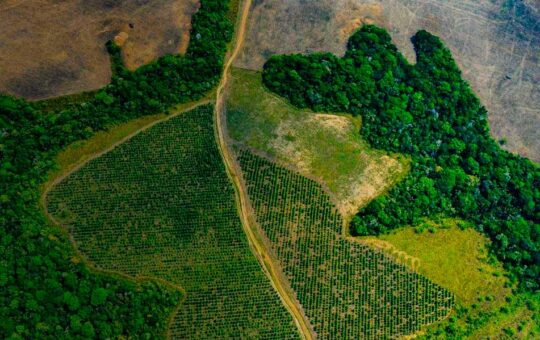 PROPONEN POLÍTICAS DE ESTADO PARA IMPULSAR LA AGROINDUSTRIA EN LA AMAZONÍA – RCR Peru