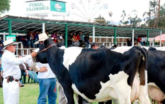 FONGAL SE HA CONSOLIDADO COMO LA FERIA MÁS GRANDE DEL PERÚ – RCR Peru