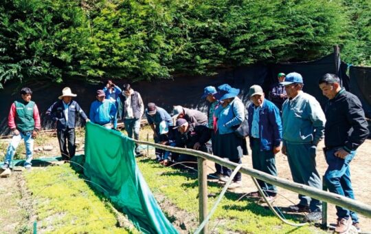 DESTACAN QUE CERTIFICACIÓN EN BUENAS PRÁCTICAS AGRÍCOLAS PERMITIRÁ A FAMILIAS PRODUCTORAS ACCEDER A NUEVOS MERCADOS – RCR Peru