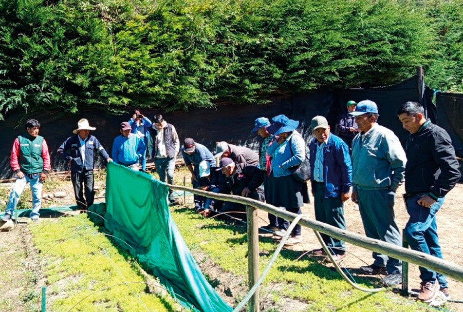 DESTACAN QUE CERTIFICACIÓN EN BUENAS PRÁCTICAS AGRÍCOLAS PERMITIRÁ A FAMILIAS PRODUCTORAS ACCEDER A NUEVOS MERCADOS – RCR Peru