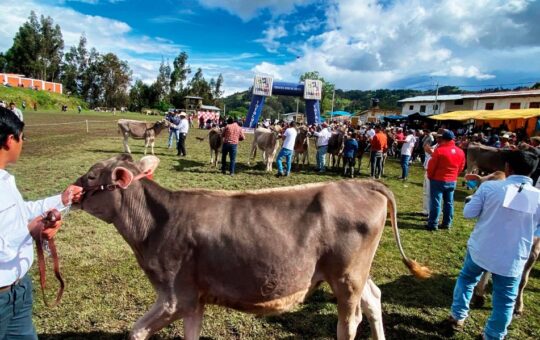  PROGRAMA “GANADEROS DE ALTURA” ES UN MODELO DE ÉXITO – RCR Peru