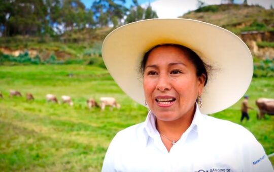 VILMA CORTEZ, GANADERA DE VENTANILLAS DE COMBAYO DUPLICÓ SU PRODUCCIÓN LECHERA GRACIAS AL PROGRAMA “GANADEROS DE ALTURA” – RCR Peru