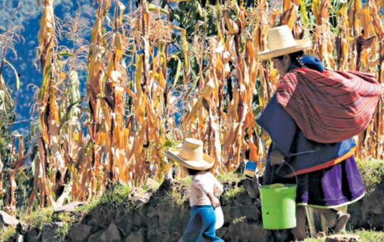 CAJAMARCA ENFRENTA UN DETERIORO EN INDICADORES CLAVE DEL INCORE 2025 – RCR Peru