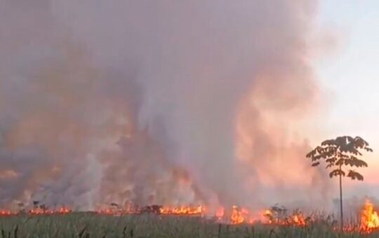 INCENDIO AFECTÓ COBERTURA NATURAL EN EL CASERÍO EL MILAGRO – RCR Peru
