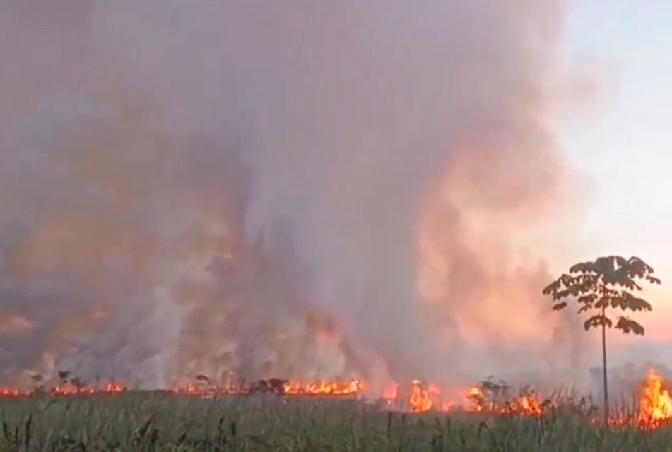 INCENDIO AFECTÓ COBERTURA NATURAL EN EL CASERÍO EL MILAGRO – RCR Peru