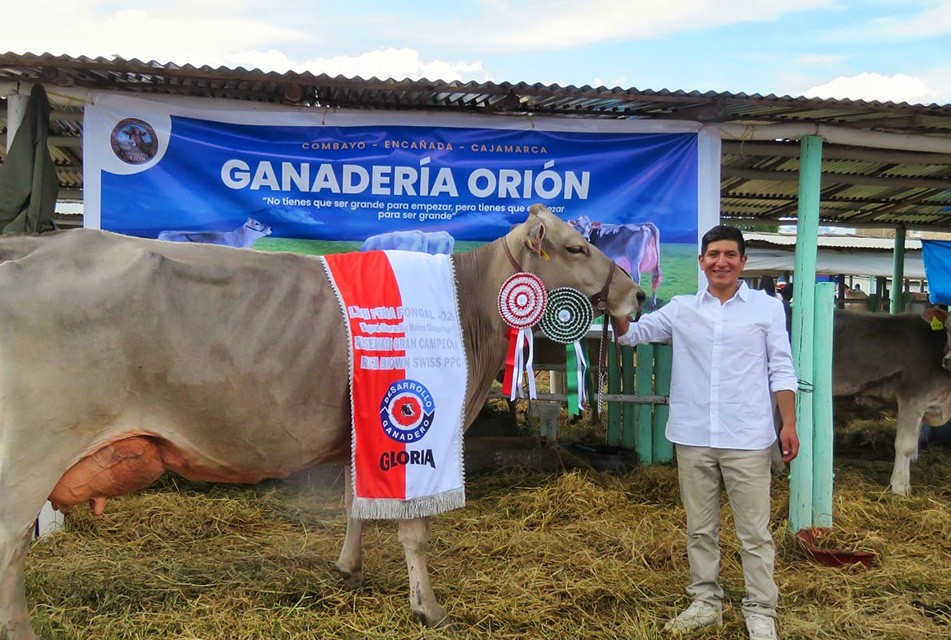 GANADERO DE ALTURA RECIBE DISTINCIÓN EN FONGAL 2025 GRACIAS A SU ESFUERZO Y PASIÓN EN CAJAMARCA – RCR Peru