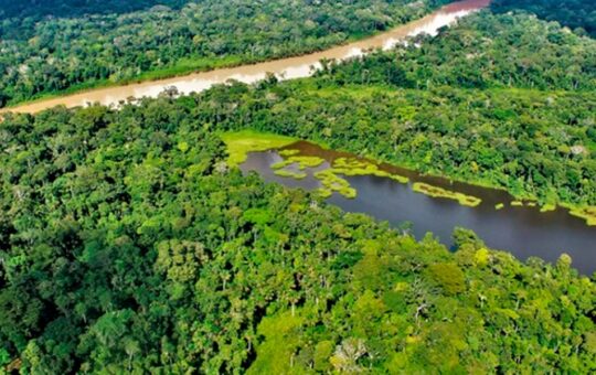 GOBIERNO PRIORIZARÁ DESARROLLO DEL GRAN PLAN AMAZÓNICO DE CONSERVACIÓN DE BOSQUES – RCR Peru