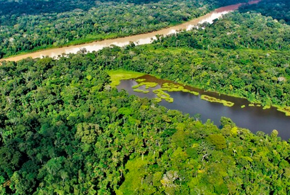 GOBIERNO PRIORIZARÁ DESARROLLO DEL GRAN PLAN AMAZÓNICO DE CONSERVACIÓN DE BOSQUES – RCR Peru