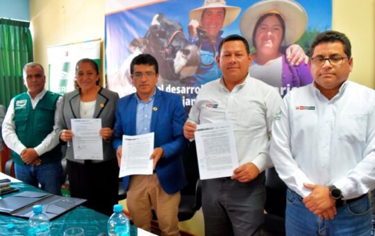 NEWMONT FONCREAGRO FORTALECE ALIANZAS CON EL MIDAGRI, GORE, SENASA, INIA Y MUNICIPIOS PARA DESARROLLO GANADERO EN CAJAMARCA – RCR Peru