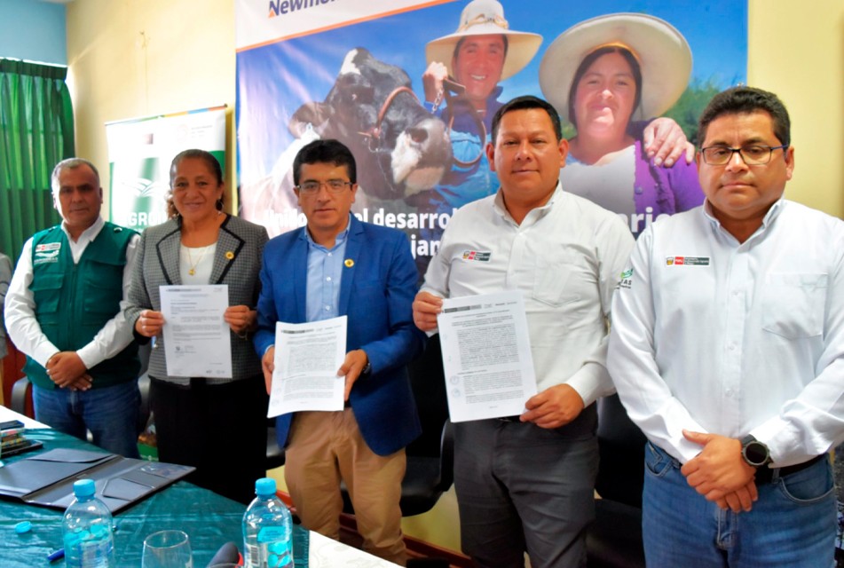 NEWMONT FONCREAGRO FORTALECE ALIANZAS CON EL MIDAGRI, GORE, SENASA, INIA Y MUNICIPIOS PARA DESARROLLO GANADERO EN CAJAMARCA – RCR Peru