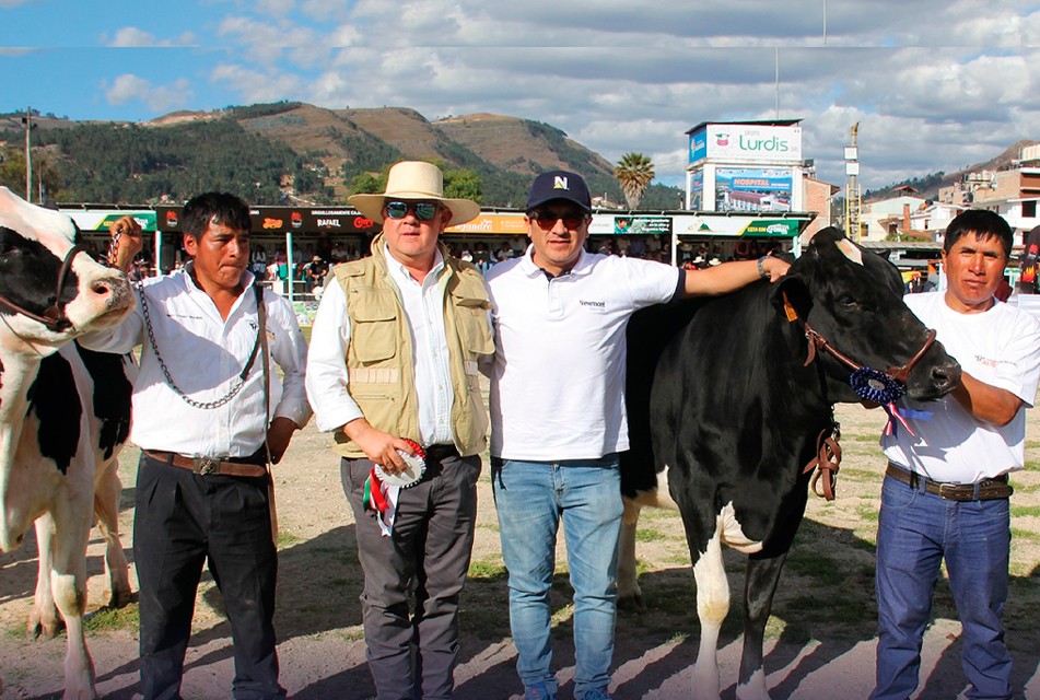 RESALTAN TRABAJO DE PROGRAMA GANADEROS DE ALTURA POR SU IMPACTO POSITIVO Y SOSTENIBLE EN FAMILIAS ALTOANDINAS DE CAJAMARCA – RCR Peru