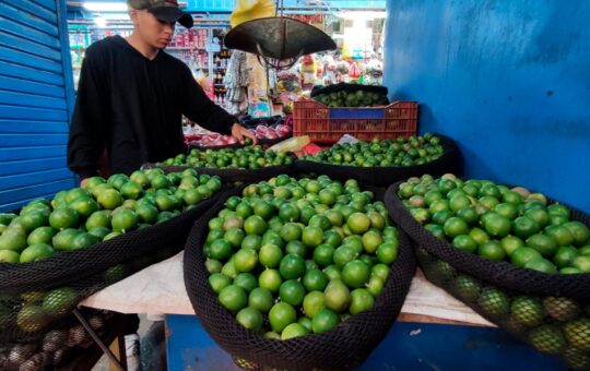 ASEGURAN QUE EL PRECIO DEL LIMÓN SE ESTABILIZARÁ A PARTIR DE SEPTIEMBRE – RCR Peru