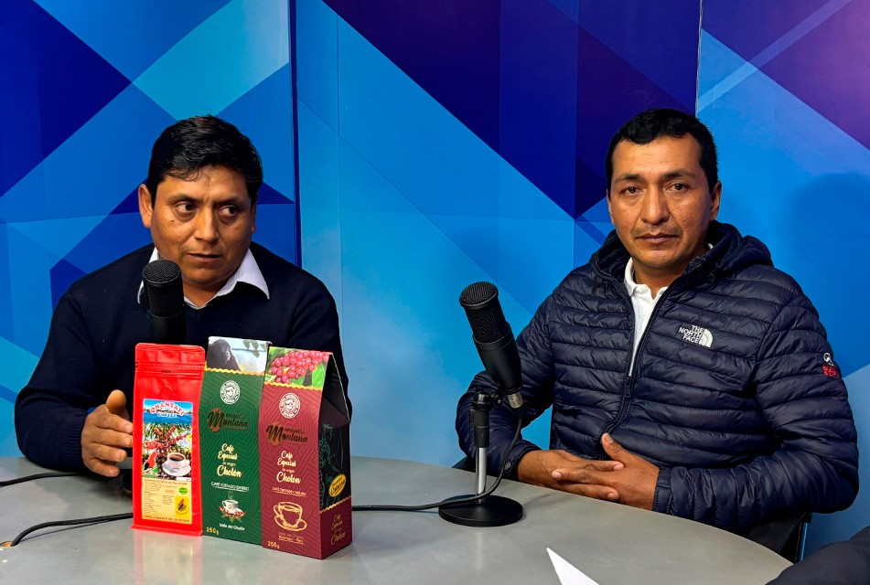 PRODUCTORES DE PUNO Y HUÁNUCO MEJORAN PRODUCCIÓN DE CAFÉ CON APOYO DE DEVIDA – RCR Peru