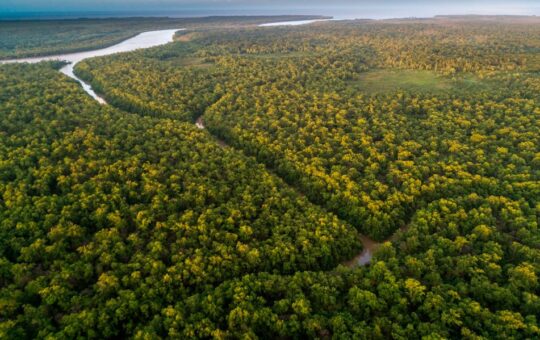 LA AMAZONÍA REQUIERE LEGISLACIÓN CLARA SOBRE PROTECCIÓN DE CABECERAS DE CUENCA HIDROGRÁFICA – RCR Peru