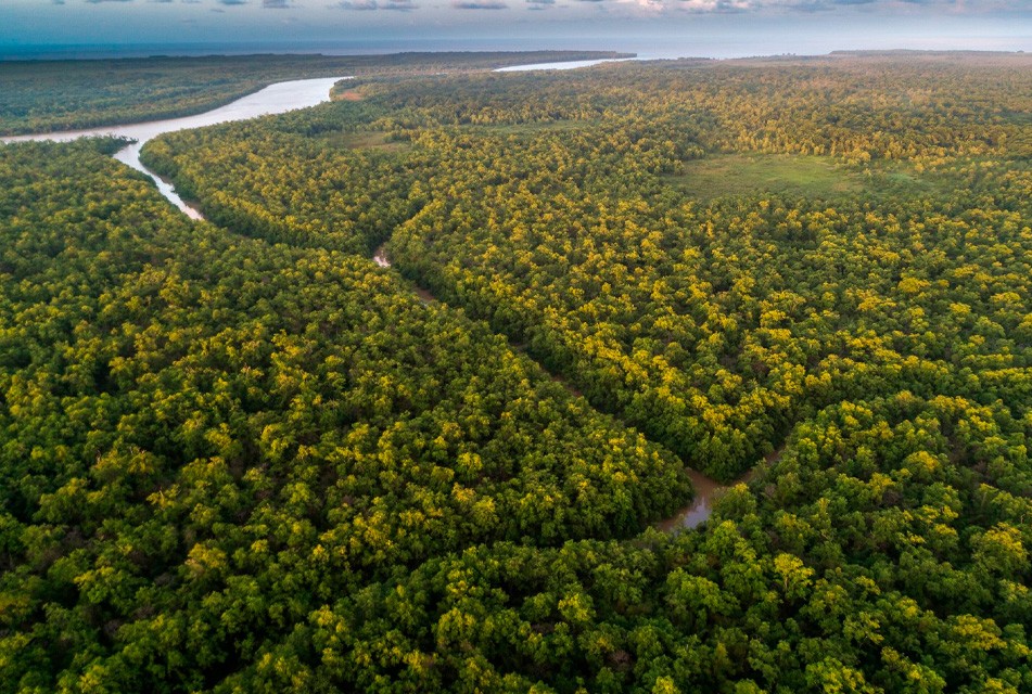 LA AMAZONÍA REQUIERE LEGISLACIÓN CLARA SOBRE PROTECCIÓN DE CABECERAS DE CUENCA HIDROGRÁFICA – RCR Peru