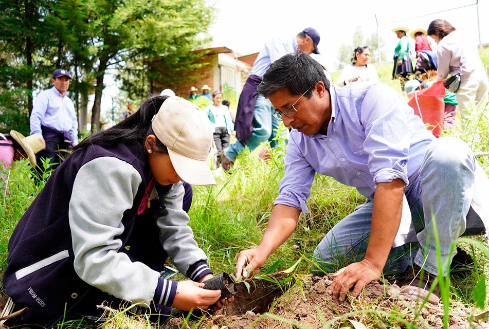 LA REVOLUCIÓN FORESTAL EN EL PAÍS – RCR Peru