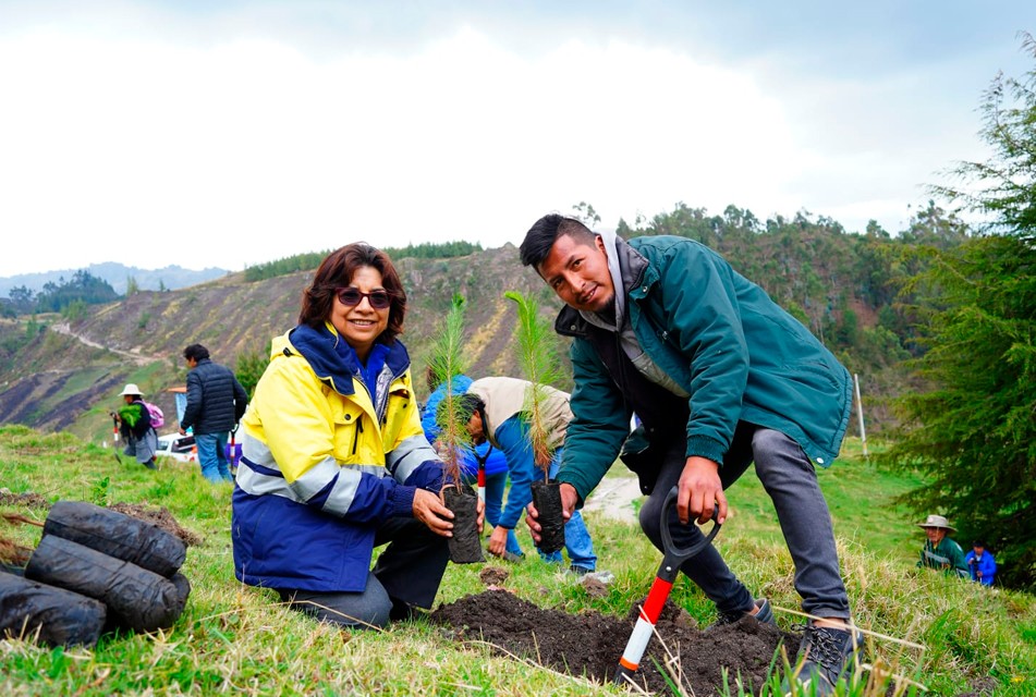 100 HECTÁREAS REFORESTADAS, 80 MIL ARBOLES PLANTADOS Y 1,200 FAMILIAS BENEFICIADAS EN BAÑOS DEL INCA – RCR Peru