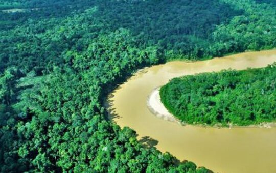 NUEVA NARRATIVA AMAZÓNICA PARA REVALORIZAR LOS SERVICIOS ECOSISTÉMICOS – RCR Peru