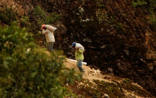 TALA ILEGAL, SOBREEXPLOTACIÓN DE RECURSOS Y MINERÍA ILEGAL ACECHAN AL PARQUE NACIONAL ICHIGKAT MUJA – RCR Peru