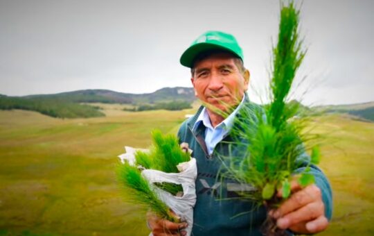 HUELLA VERDE CONTINÚA IMPULSANDO CAMBIOS SOSTENIBLES EN CAJAMARCA – RCR Peru