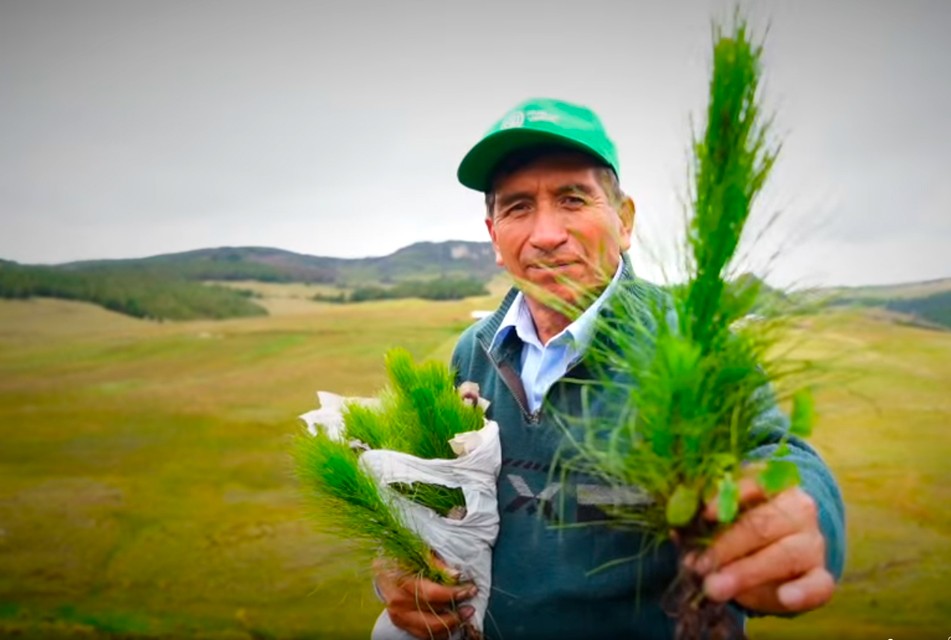 HUELLA VERDE CONTINÚA IMPULSANDO CAMBIOS SOSTENIBLES EN CAJAMARCA – RCR Peru