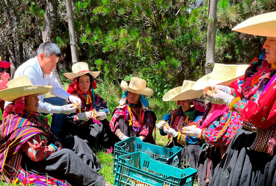 EL PROYECTO QUE EMPODERA A MÁS DE 70% DE MUJERES ANDINAS A TRAVÉS DE LA PRODUCCIÓN DE HONGOS – RCR Peru