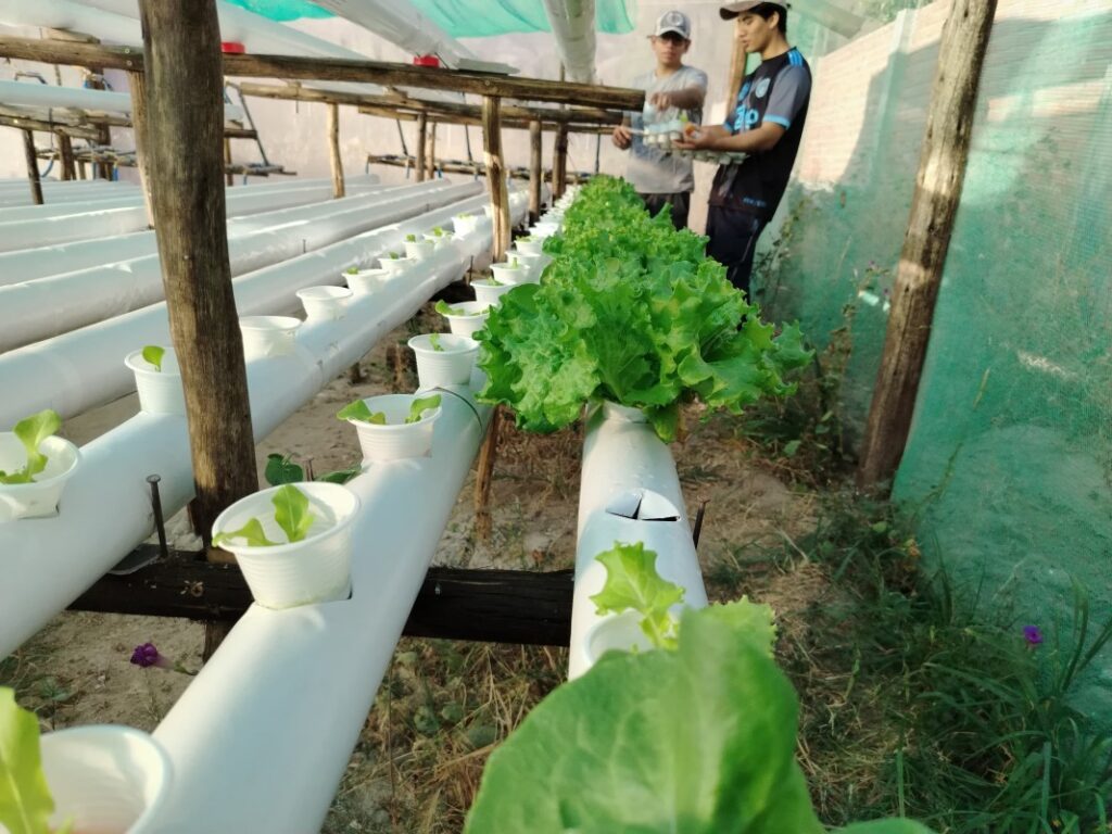 “KALLPA GREENNZ BUSCA SOLUCIONAR EL PROBLEMA DE FALTA DE AGUA EN PIURA CON INVERNADEROS INTELIGENTES” – RCR Peru