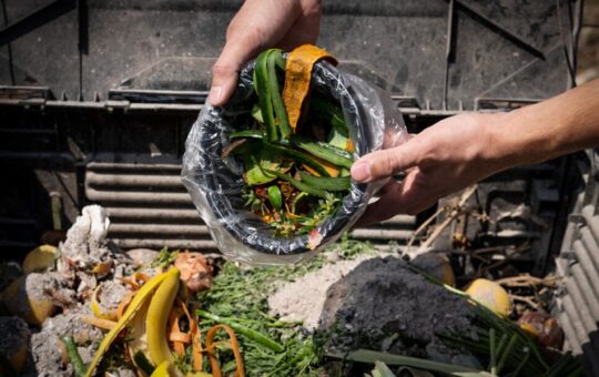 KAWAT TRABAJA CON NEWMONT FONCREAGRO Y MUNICIPALIDAD DE CAJAMARCA TRANSFORMANDO RESIDUOS ORGÁNICOS EN ALIMENTO PARA GANADO Y ABONO FRASS – RCR Peru