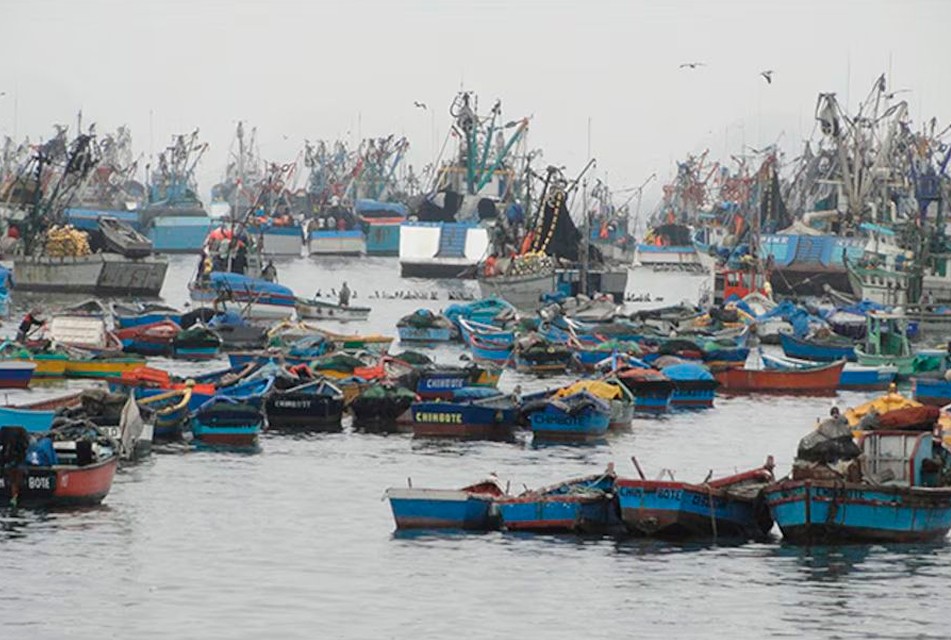 MÁS DE 23,000 EMBARCACIONES OPERAN EN EL MAR PERUANO SIN REGULACIÓN – RCR Peru