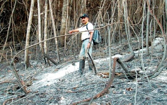 ADVIERTEN QUE LA AMAZONÍA PERUANA SE ACERCA AL PUNTO DE NO RETORNO POR LA DEFORESTACIÓN Y EL COLAPSO HÍDRICO – RCR Peru