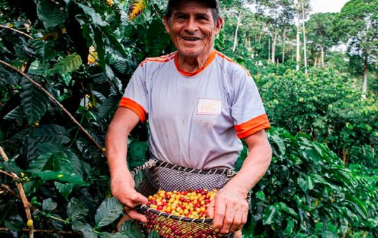 EL PACTO VERDE EUROPEO ESTABLECE LÍMITES Y EXIGE TRAZABILIDAD PARA PRODUCTOS AGRÍCOLAS – RCR Peru