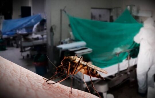 CASOS DE DENGUE SE INCREMENTAN EN PIURA A MEDIDA QUE SE ACERCA EL VERANO – RCR Peru