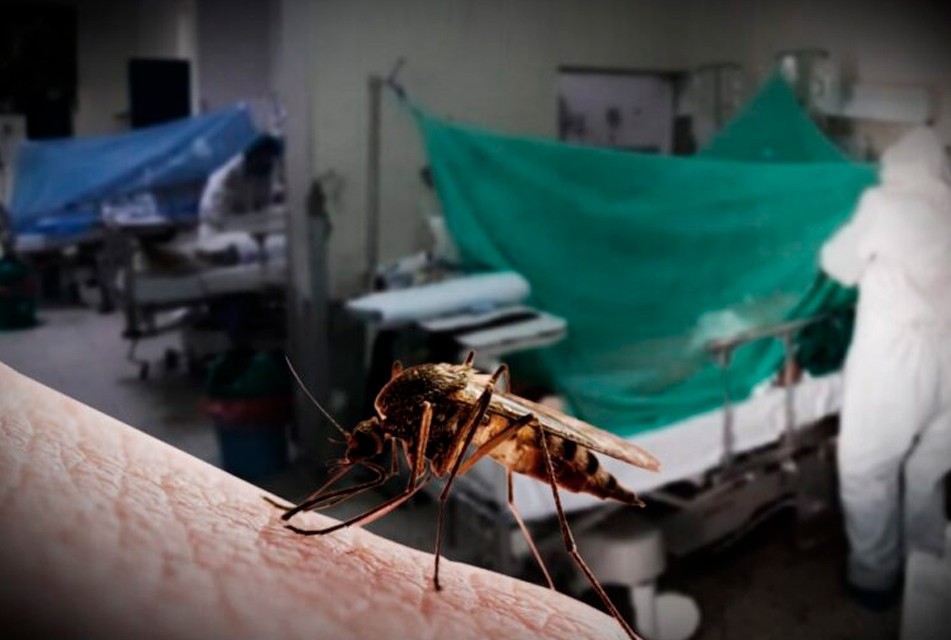 CASOS DE DENGUE SE INCREMENTAN EN PIURA A MEDIDA QUE SE ACERCA EL VERANO – RCR Peru