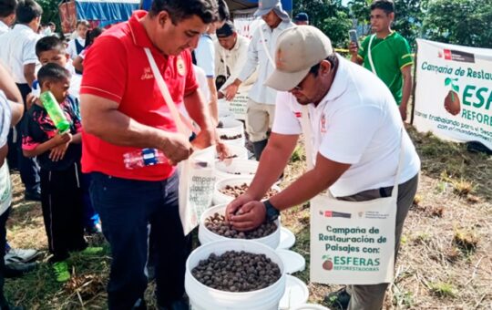 IIAP INICIA CAMPAÑA 2025 DE RESTAURACIÓN DE PAISAJES DAÑADOS POR INCENDIOS FORESTALES EN SAN MARTÍN – RCR Peru