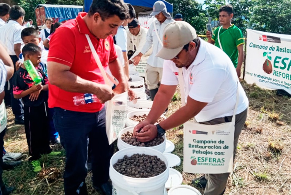 IIAP INICIA CAMPAÑA 2025 DE RESTAURACIÓN DE PAISAJES DAÑADOS POR INCENDIOS FORESTALES EN SAN MARTÍN – RCR Peru
