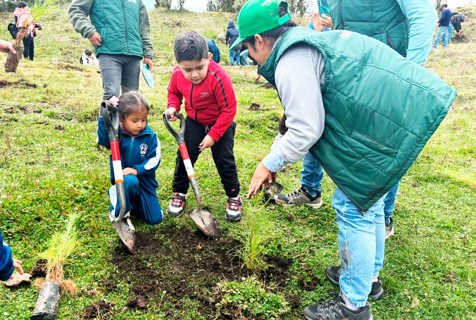 HUELLA VERDE DE NEWMONT FONCREAGRO SUPERA SUS METAS DE FORESTACIÓN EN CAJAMARCA Y APUNTA A LOS 2.5 MILLONES DE PLANTONES – RCR Peru
