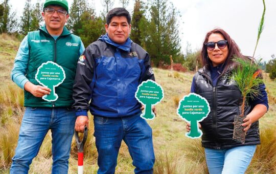 PROYECTAN PLANTAR 2.5 MILLONES DE ÁRBOLES CON GRAN ALIANZA REGIONAL – RCR Peru
