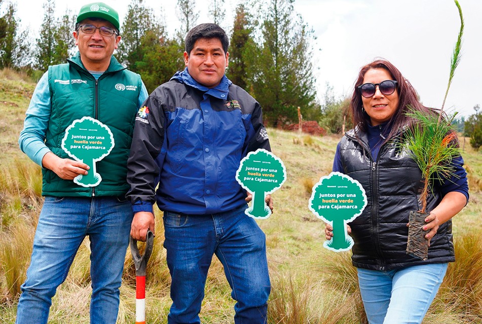 PROYECTAN PLANTAR 2.5 MILLONES DE ÁRBOLES CON GRAN ALIANZA REGIONAL – RCR Peru