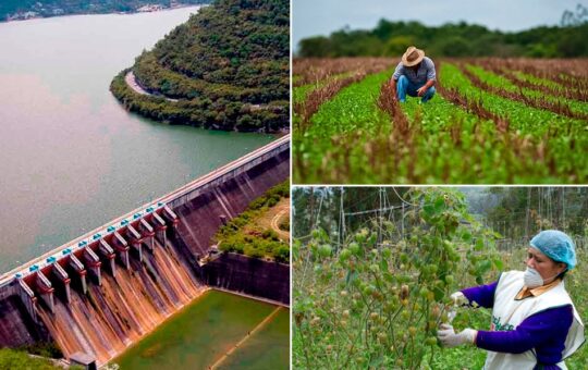 PRESA DE CHONTA VA A MEJORAR EMPLEOS Y PRODUCCIÓN AGRÍCOLA DE CAJAMARCA CON IRRIGACIÓN DE 4 MIL HECTÁREAS DE CULTIVOS  – RCR Peru