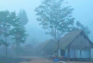 SENAMHI ALERTA QUE LLEGADA DEL VIGESIMOSÉPTIMO FRIAJE DEL AÑO AFECTARÁ A MADRE DE DIOS Y OTRAS REGIONES AMAZÓNICAS – RCR Peru