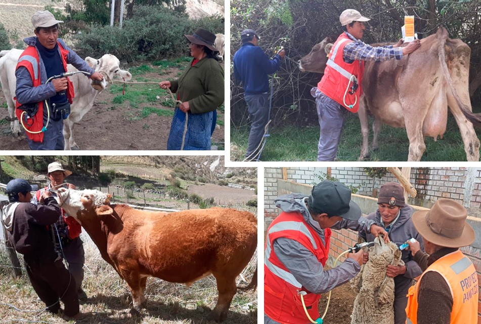 BUENAVENTURA IMPULSA CAMPAÑA SANITARIA EN BENEFICIO DEL DESARROLLO AGROPECUARIO EN OYÓN – RCR Peru