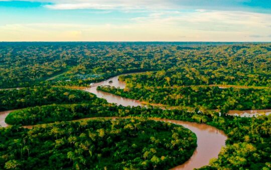 “LA AMAZONÍA ES EL RECURSO NATURAL MÁS SUBVALUADO DEL CONTINENTE” – RCR Peru