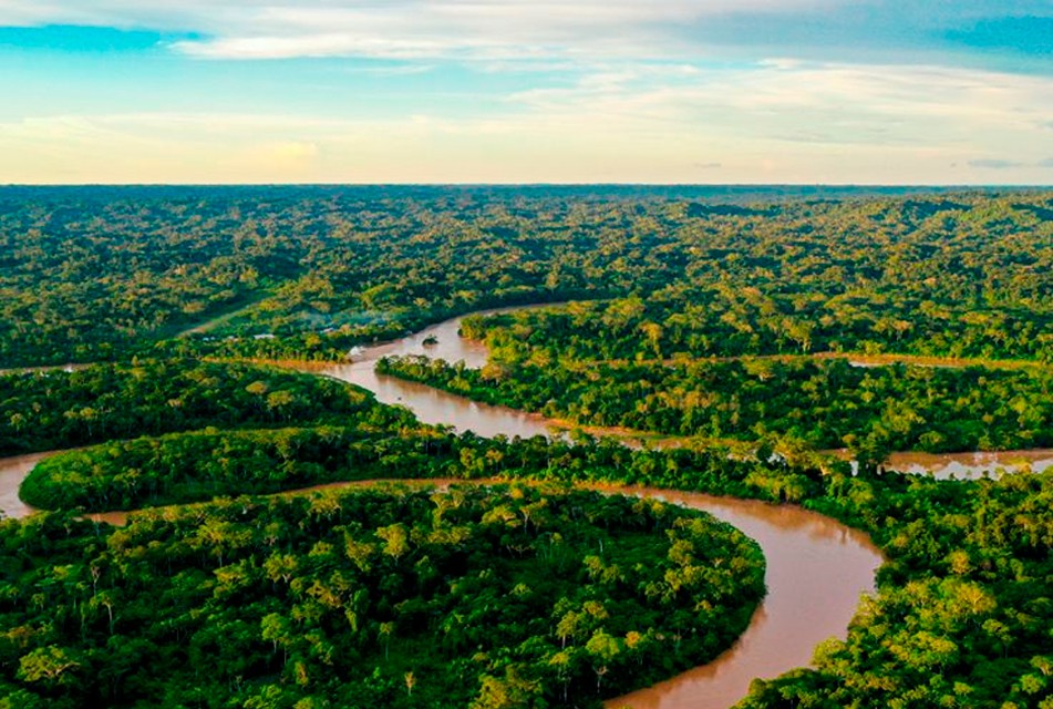 “LA AMAZONÍA ES EL RECURSO NATURAL MÁS SUBVALUADO DEL CONTINENTE” – RCR Peru