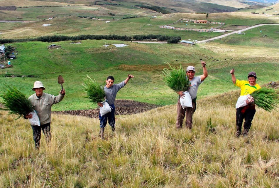 FONCREAGRO CONTINÚA SU CAMINO ENFOCADO EN EL DESARROLLO RURAL DE CAJAMARCA – RCR Peru