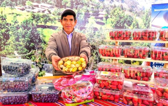 NEWMONT ALAC Y FONDOEMPLEO DESTINAN MÁS DE 2 MILLONES DE SOLES PARA IMPULSAR COMPETITIVIDAD DE PRODUCTORES Y EMPRENDEDORES RURALES – RCR Peru