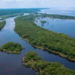 LA AMAZONÍA ES LA INFRAESTRUCTURA ESTRATÉGICA MÁS IMPORTANTE DEL PERÚ – RCR Peru