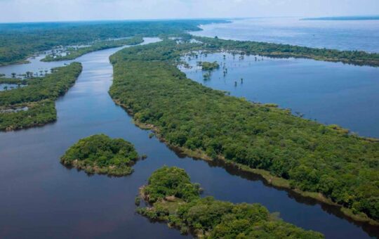 LA AMAZONÍA ES LA INFRAESTRUCTURA ESTRATÉGICA MÁS IMPORTANTE DEL PERÚ – RCR Peru